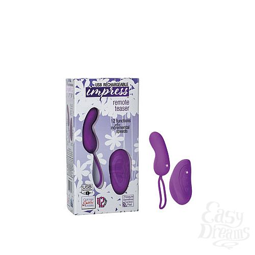 ���������� 1:  ������������� IMPRESS Remote Teaser �������������� ����������