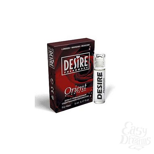 ���������� 1:  ������� ���� � ���������� DESIRE ORIENT  1 � ��������� 5 ��.