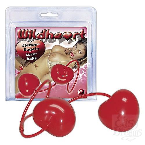 ���������� 1:  ����������� ������-��������