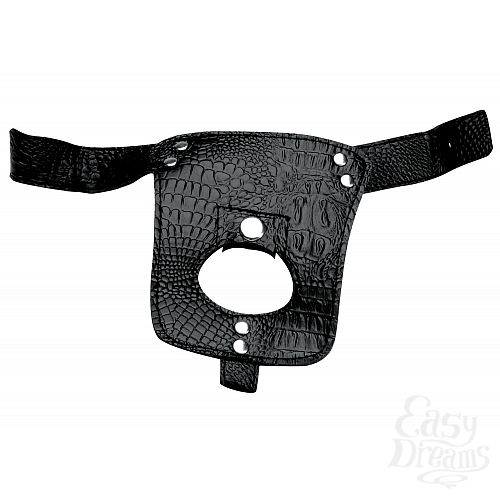  1:    Harness
