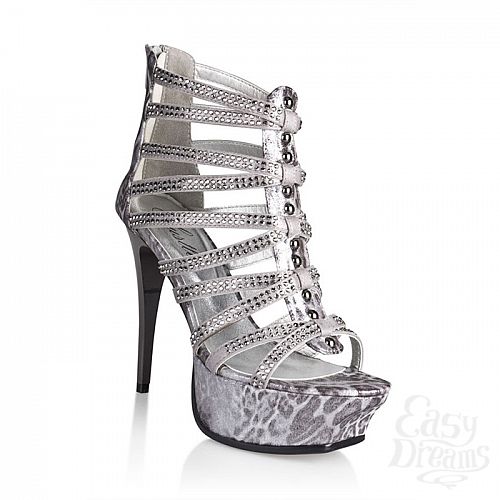 ���������� 1:  ��������� Silver Python