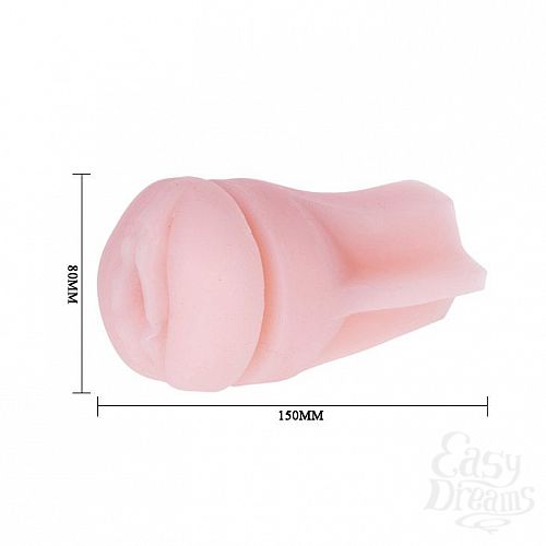 ���������� 4  �����������-������ � ��������� � ���� �� �������� 