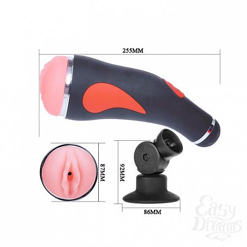 ���������� 5  �����������-������ � ��������� � ���� �� �������� 