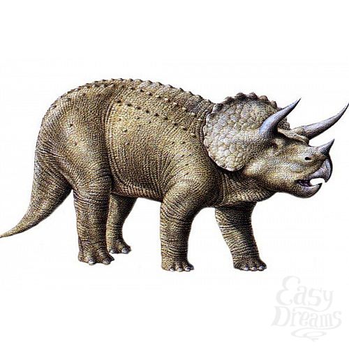 ���������� 3  �������������  ���������� Ceratops  - 21,5 ��.