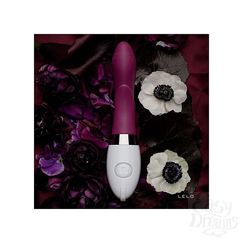 ���������� 2  �������� IRIS