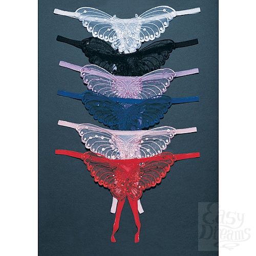 ���������� 1:  �������  ������� 