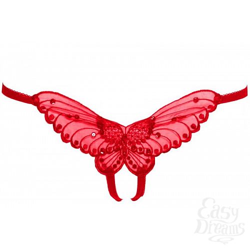 ���������� 2  �������  ������� 