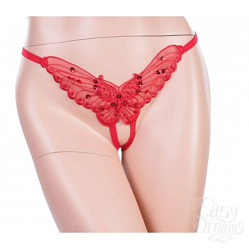 ���������� 3  �������  ������� 