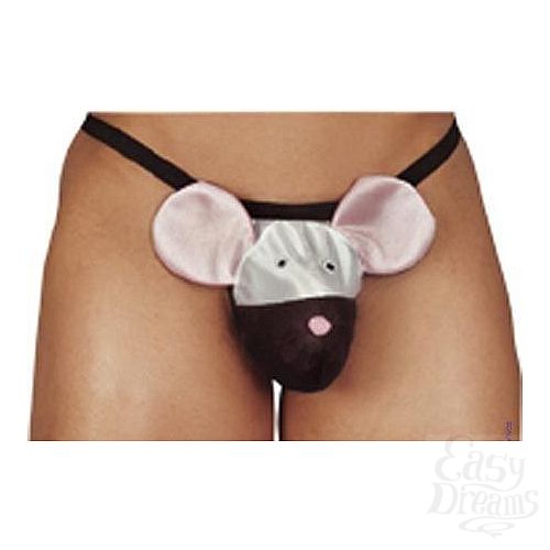  1:    Mouse  