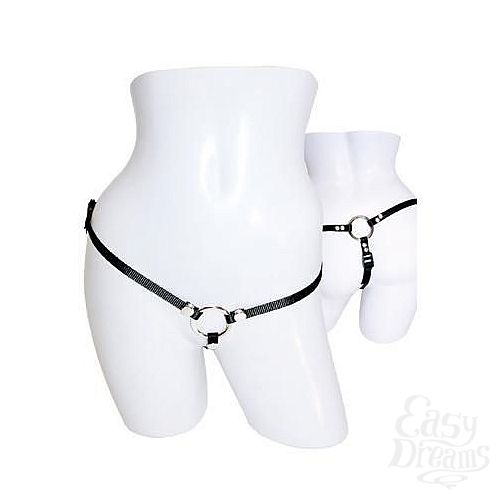  1:     Bare As You Dare Strap-On