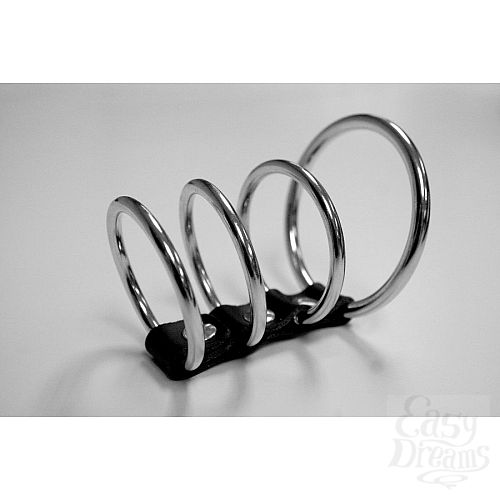���������� 1:  4 ����������� ������ Ring Cock Cage