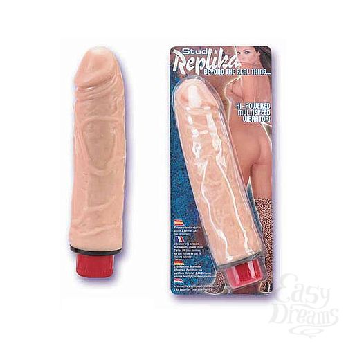 ���������� 1:  ������������� � ������ ��������� Replika