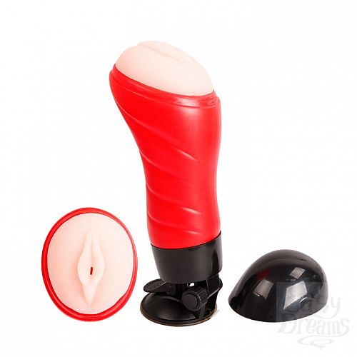 ���������� 1:  ����-����������� Delia  BM-00900T46S