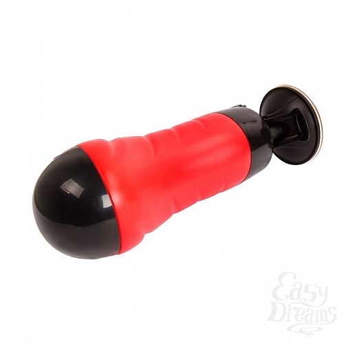 ���������� 2  ����-����������� Delia  BM-00900T46S