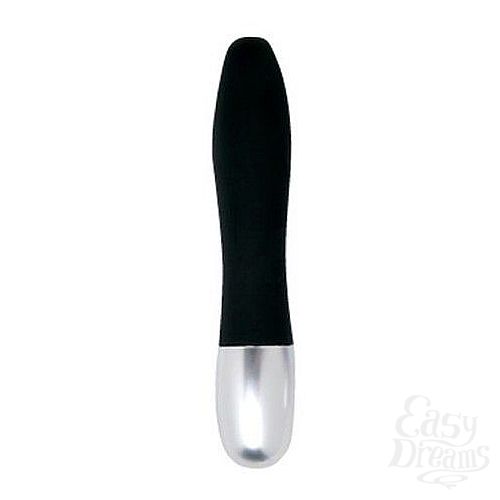 ���������� 1:  ׸���� ����-�������� Discretion Probe - 11 ��.