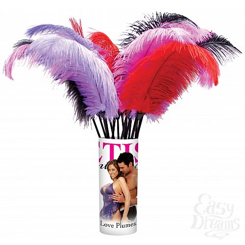 ���������� 1:  ���� Ff Love Plumes Pipedream