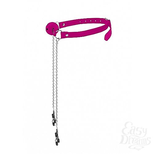 ���������� 1:  ���� � �������� ��� ������ OUCH Pink SH-OU151PNK