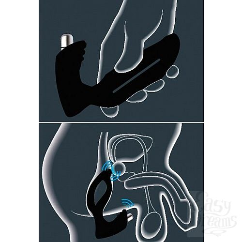 ���������� 3  ���������� �������� JoyDivision Xpander X4+ Size M