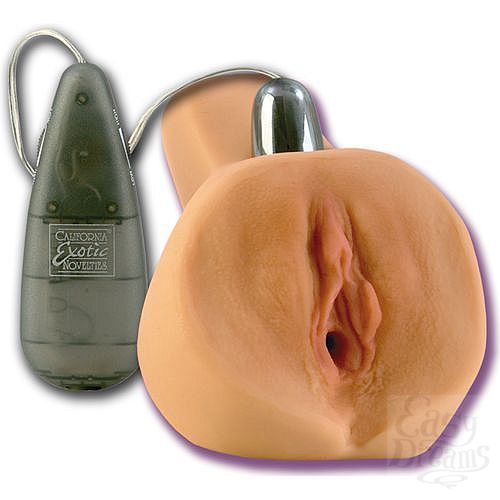 ���������� 1:  ������ � ��������� Jesse Jane