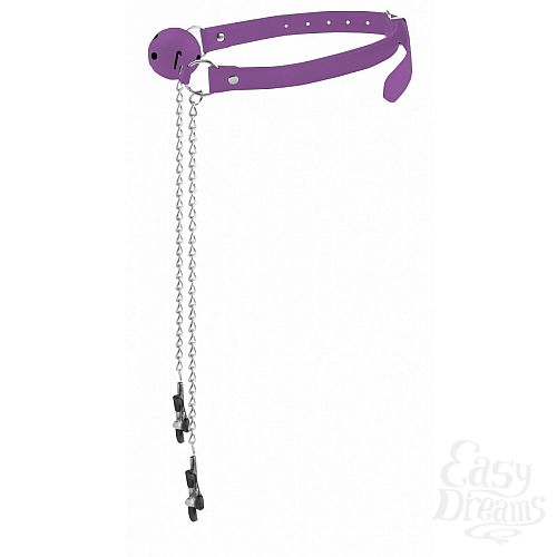 ���������� 1:  ���������� ��������� ����-��� � �������� ��� ������ 