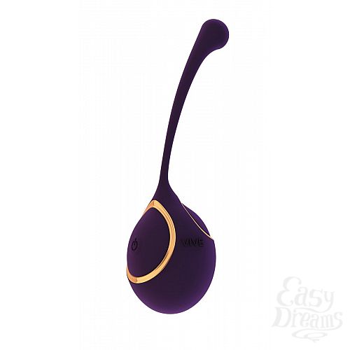 ���������� 1:  ���������� ��������� Zeki