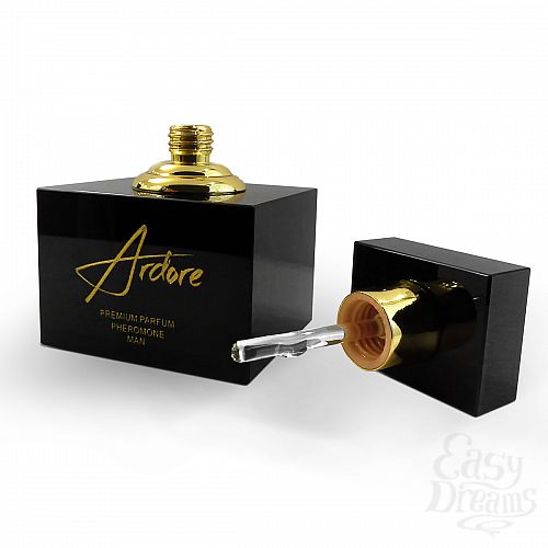  2        ARDOR 6 