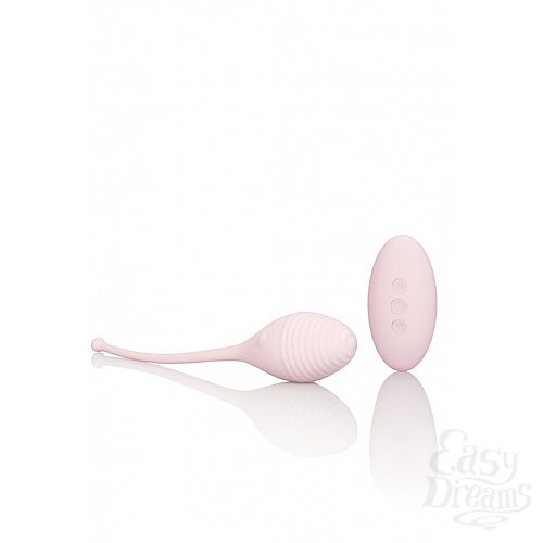 ���������� 3  ������������� INSPIRE VIB RMT KEGEL EXERCISR