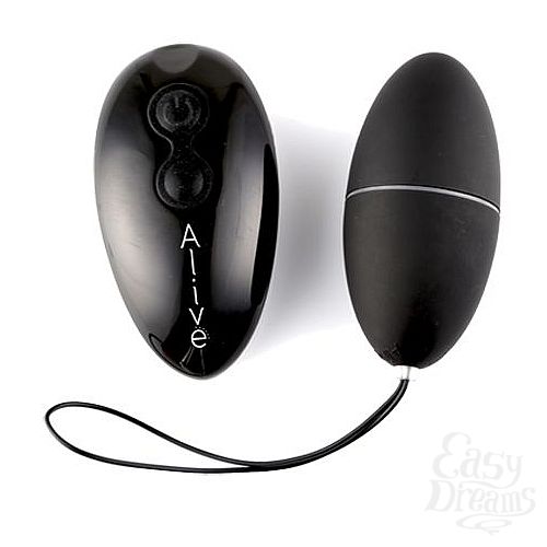  2  ׸  Magic Egg 2.0   