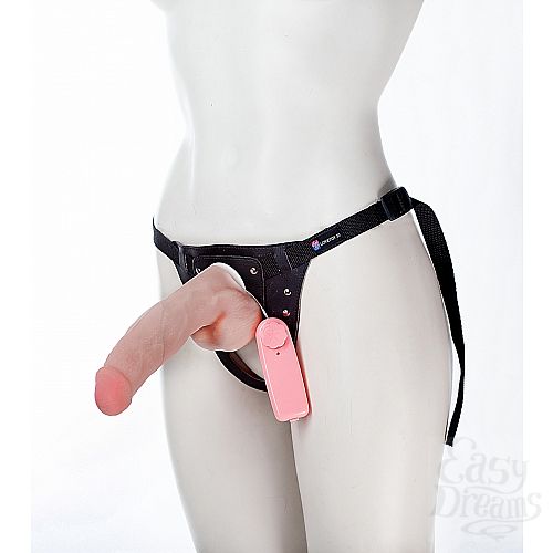  1:       Harness, 20,5 ., 