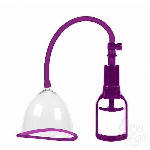  1:      Sculptor  L 6910-02Lola, 