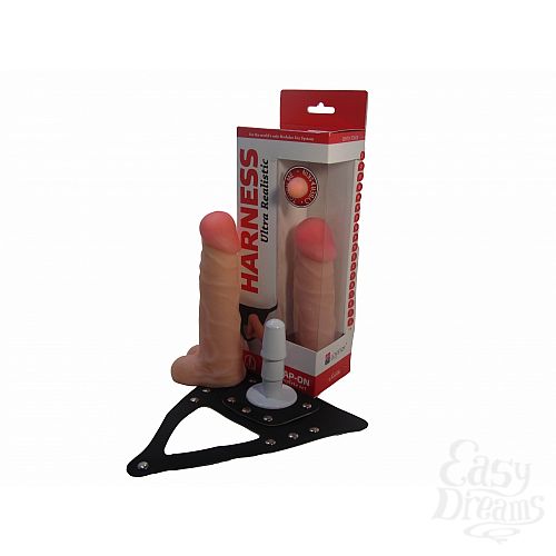  1:     Harness - Bioclon, 