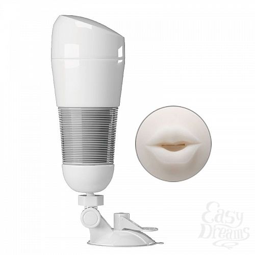 ���������� 1:  ����-����������� ����� Hedy � ���������  