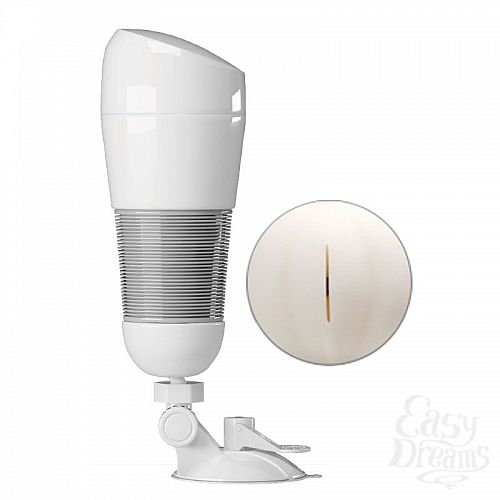 ���������� 1:  ����-����������� Hedy � ���������