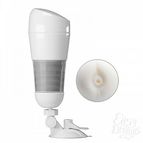 ���������� 1:  ����-����������� ���� Hedy � ���������