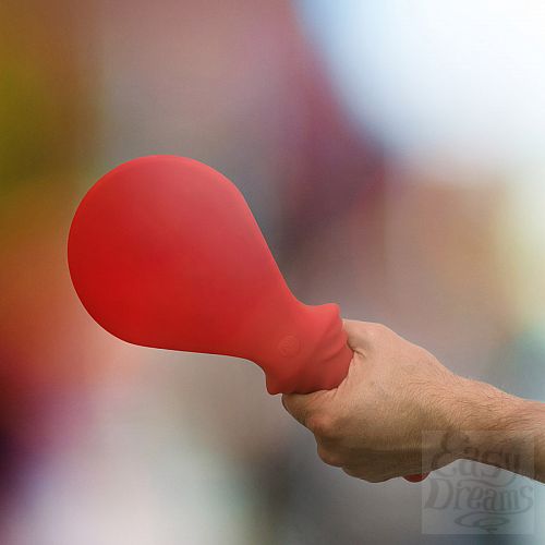 ���������� 4  �������� ������������� Buch Dich, 31 ��, �������