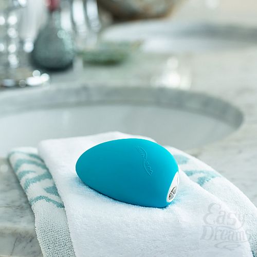  6    - We-Vibe Wish, 