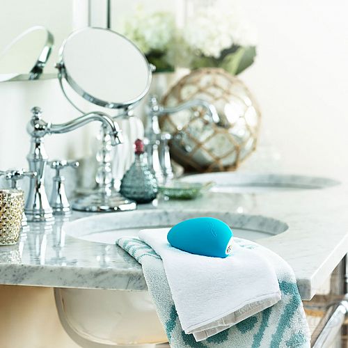  7    - We-Vibe Wish, 