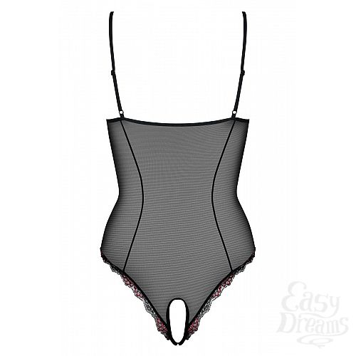 ���������� 4  �������� ���� Musca � ���������� ��������� � ��������