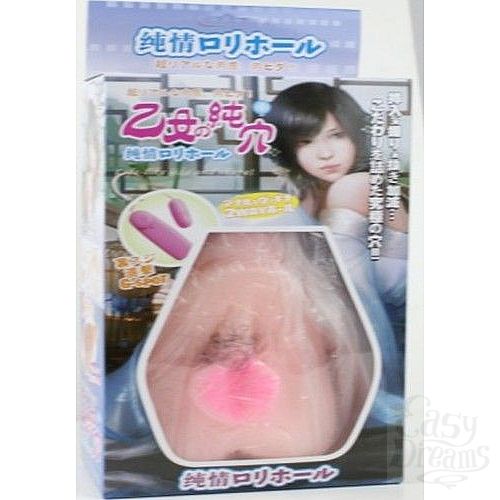 ���������� 2  �����������-������ � ���������� � ���������