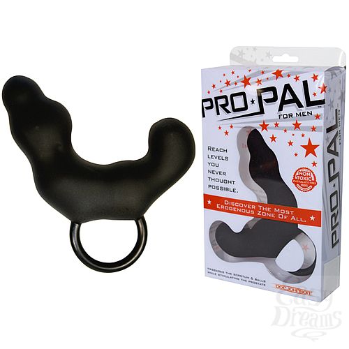 ���������� 1:  ������� �������� PRO-PAL    BLACK