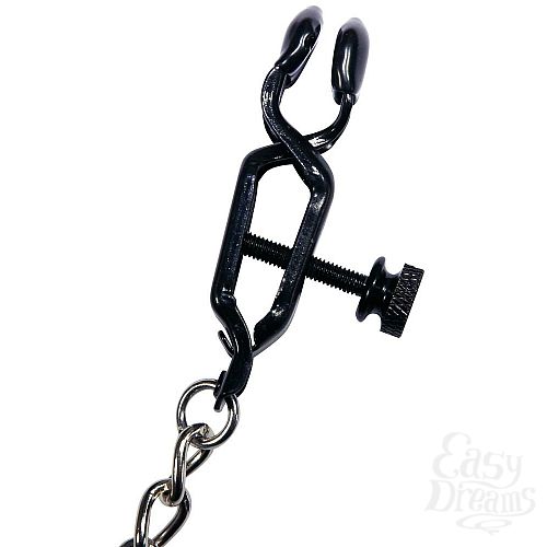 ���������� 2  ������� � �������� �� ����� � � ���������-������������ Nipple Weights