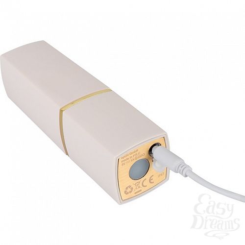  4  Womanizer 2Go -   ,  -    