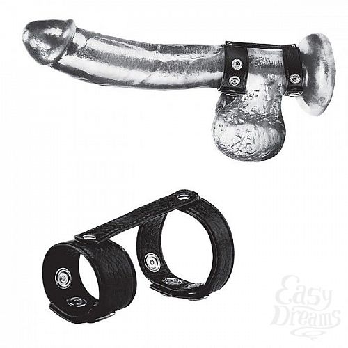 1:       Duo Snap Cock And Ball Ring
