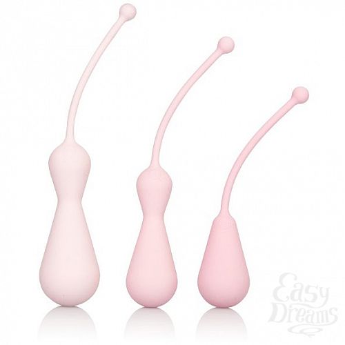 ���������� 2  ����� Inspire Weighted Kegel Training Kit, 3.75 ��. 