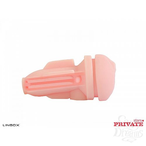 ���������� 5  �����������-������ Private Anny Aurora Vagina � ���� � ��������� ��� ������� ��������