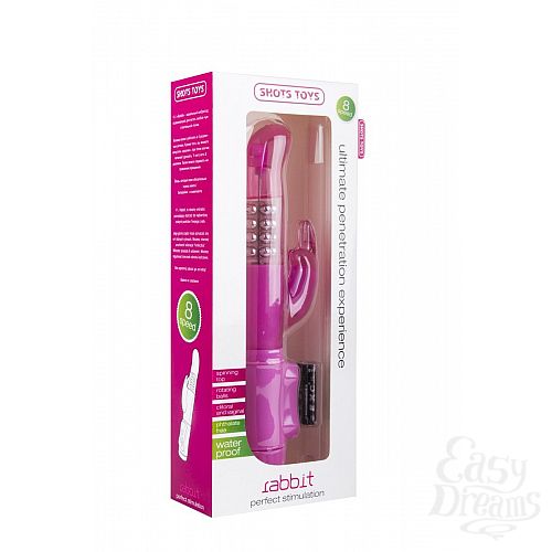  2     Rabbit    - 22 .