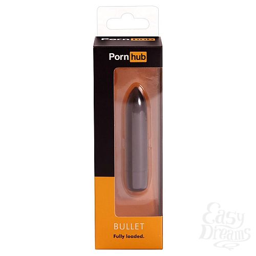  4     Bullet