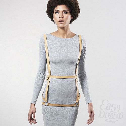  1:    ARROW DRESS HARNESS