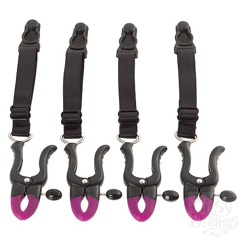  1:          Bad Kitty Suspender Straps with Clamps