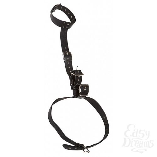  3       Bad Kitty Neck and Hand Restraints